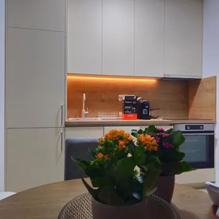 Apartament Family Tolosi *